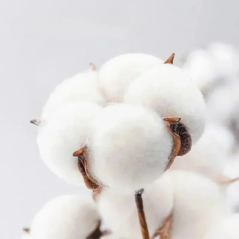 Summer Men's Short Sleeved Trendy New Item Versatile, Cool, Age Reducing, Casual Round Neck, Fun Printed Pure Cotton T-shirt Top